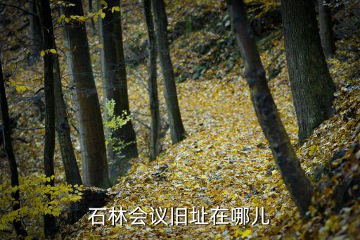 石林鎮,鶴壁石林會議舊址位于山城區石林鎮石林村