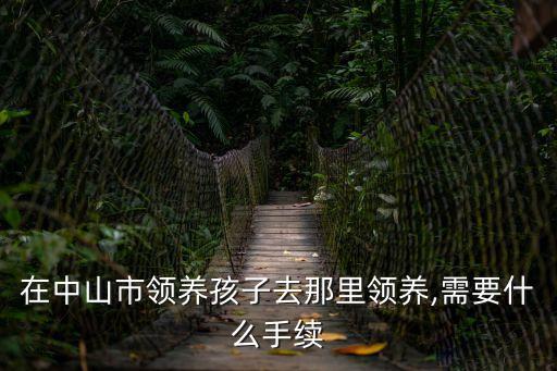 中山市民政局,中山老年證辦理流程:到市民政局辦理領養手續需要什么證件?