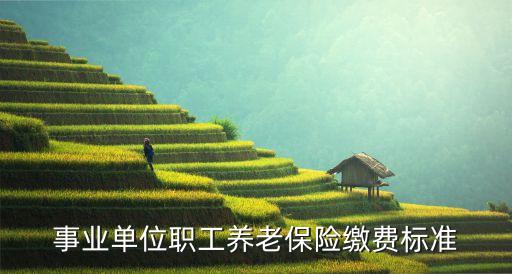 事業(yè)單位養(yǎng)老保險繳費(fèi)比例,事業(yè)單位養(yǎng)老保險繳費(fèi)比例是多少