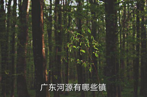 黃布鎮(zhèn),龍川黃布鎮(zhèn)是怎么回事?