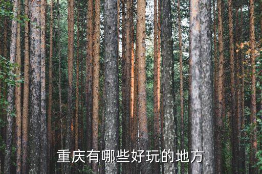 大足石刻的簡介,重慶大足石刻十大景點介紹