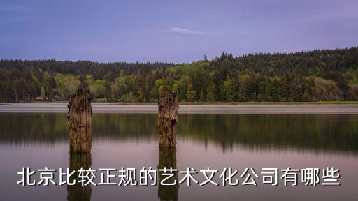 北京比較正規的藝術文化公司有哪些