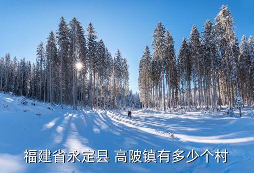 高陂鎮,廣東大埔高陂鎮簡介我是福建永定縣人