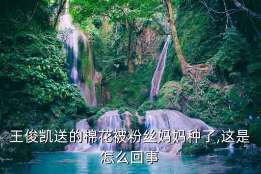 王俊凱送的棉花被粉絲媽媽種了,這是怎么回事