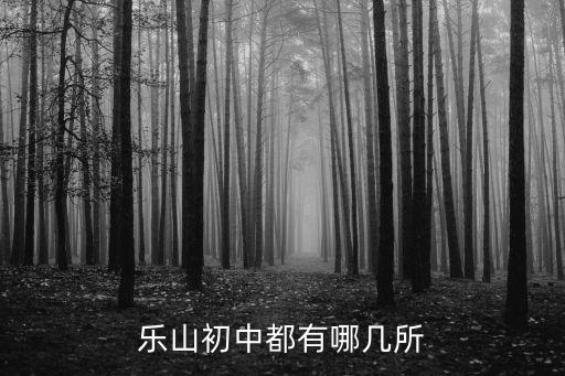 樂山初中都有哪幾所