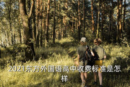 東方外國語學校,廣西南方外國語學校葫蘆校區怎樣?