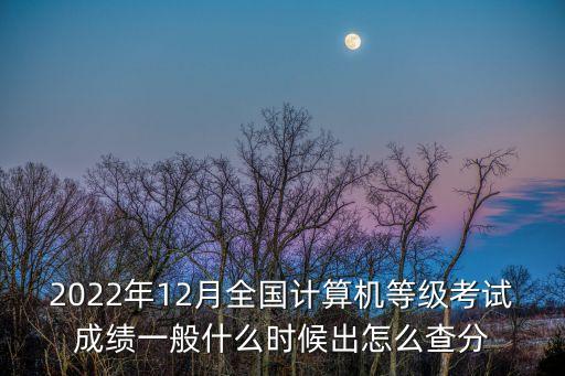 2022年12月全國計算機等級考試成績一般什么時候出怎么查分