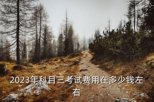 2023年科目三考試費用在多少錢左右