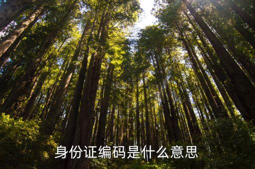 身份證編碼是什么意思