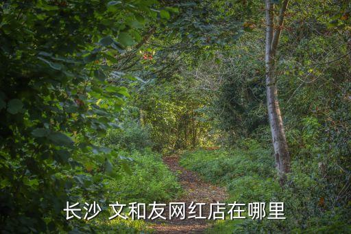 文和友,長沙文和友是什么意思?