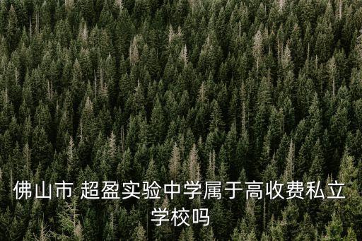 佛山市 超盈實驗中學屬于高收費私立學校嗎