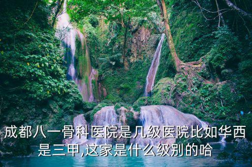 成都八一骨科醫院是幾級醫院比如華西是三甲,這家是什么級別的哈
