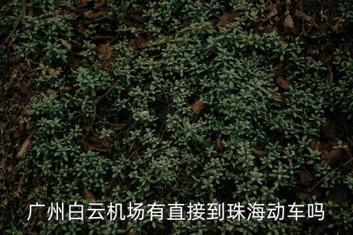 白云機(jī)場(chǎng)t3,廣州白云機(jī)場(chǎng)有大巴去深圳嗎?