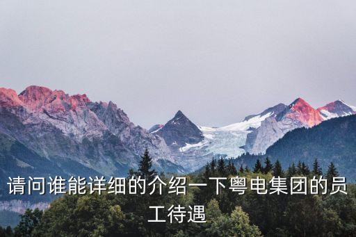 請(qǐng)問(wèn)誰(shuí)能詳細(xì)的介紹一下粵電集團(tuán)的員工待遇