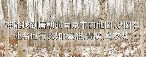 誰能找到唐朝時南京市的地圖,沒圖有地名也行比如:秦淮,青溪,烏衣巷...