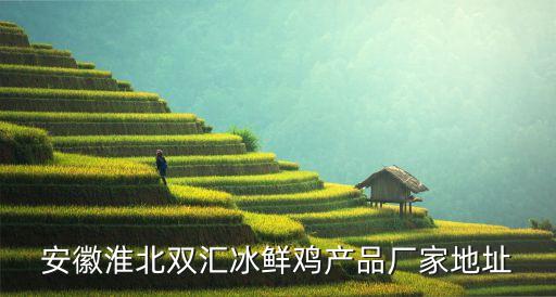 雞的電話,聽到電話第一反應?屬雞:發一下呆再說異樣