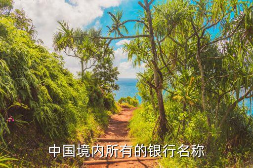 發展銀行,深圳發展銀行正式與平安銀行合并