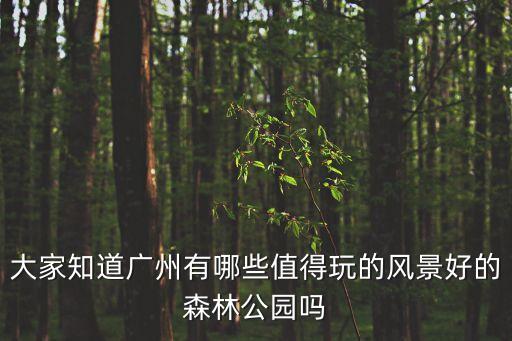 大家知道廣州有哪些值得玩的風(fēng)景好的森林公園嗎