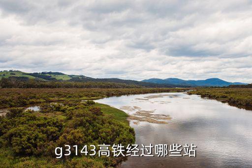 g3143高鐵經過哪些站