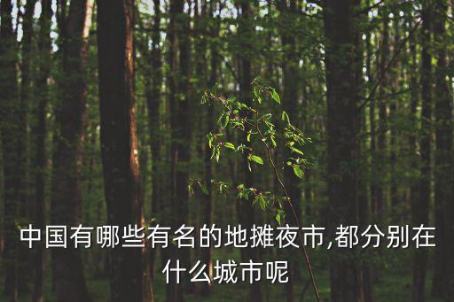 亞洲最大夜市,清邁最大面食地攤在哪里?