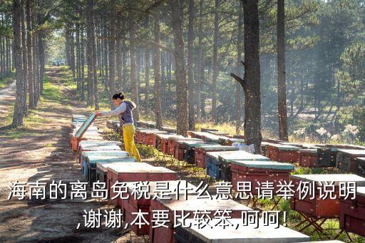 海南的離島免稅是什么意思請舉例說明,謝謝,本要比較笨,呵呵!