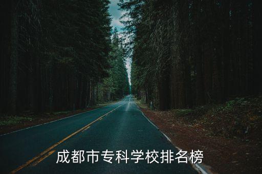 成都市?？茖W校排名榜