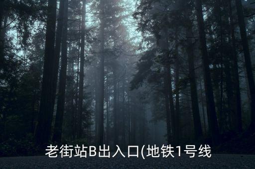  老街站B出入口(地鐵1號線
