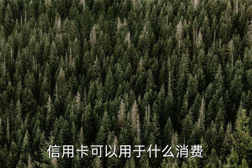信用卡可以用于什么消費