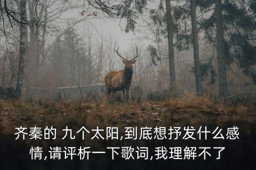 齊秦的 九個(gè)太陽(yáng),到底想抒發(fā)什么感情,請(qǐng)?jiān)u析一下歌詞,我理解不了