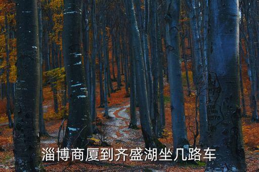 淄博商廈到齊盛湖坐幾路車