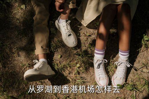 羅湖口岸怎么去香港,從深圳到香港從哪個(gè)口岸去最好?