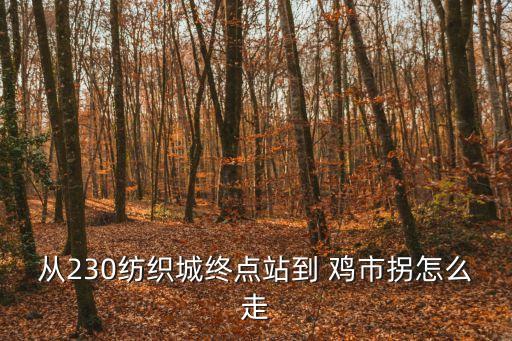 雞市拐,從雞市拐到方欣水產品批發市場公交線路:43路→26路