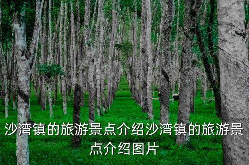 沙灣鎮(zhèn)的旅游景點(diǎn)介紹沙灣鎮(zhèn)的旅游景點(diǎn)介紹圖片