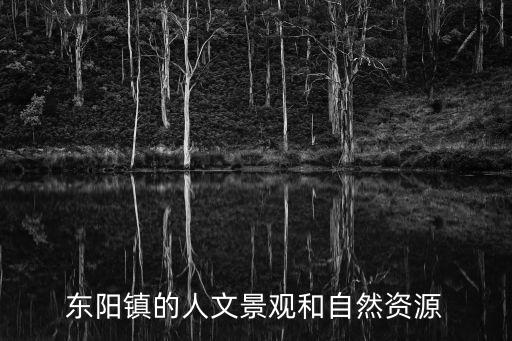 飛蛾山,順德飛鵝山古墓是真的嗎?**