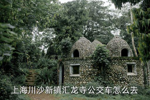 會龍寺,從上海南站到會龍寺怎么去?