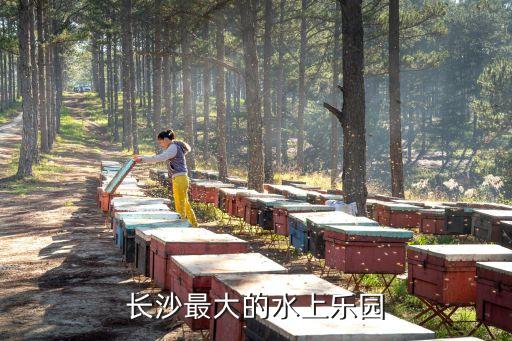 長沙海底世界游玩攻略,長沙海底世界門票是多少?