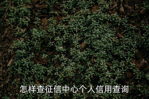 怎樣查征信中心個人信用查詢
