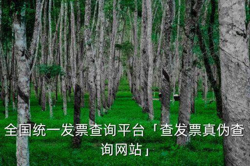 全國統(tǒng)一發(fā)票查詢平臺(tái)「查發(fā)票真?zhèn)尾樵兙W(wǎng)站」