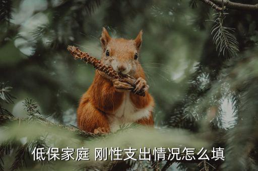 剛性支出,非義務(wù)教育階段學(xué)生剛性支出?
