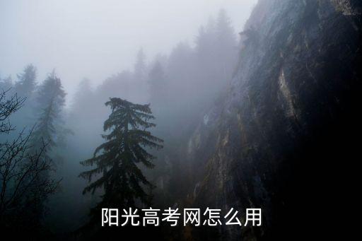 陽光高考網志愿填報,河南省高考志愿填報平臺下載預填和修改樣表