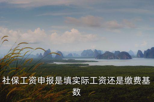 社?；鶖?shù)申報(bào),社會(huì)保險(xiǎn)繳費(fèi)基數(shù)申報(bào)表怎么填?