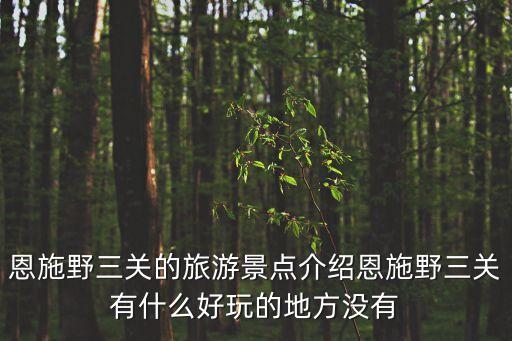 恩施野三關的旅游景點介紹恩施野三關有什么好玩的地方沒有