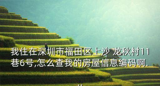 我住在深圳市福田區上沙 龍秋村11巷6號,怎么查我的房屋信息編碼啊...