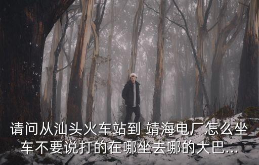 請(qǐng)問(wèn)從汕頭火車(chē)站到 靖海電廠怎么坐車(chē)不要說(shuō)打的在哪坐去哪的大巴...