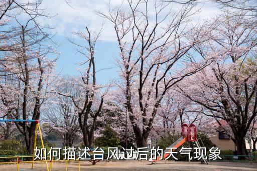 臺風過了沒有,臺風有沒有過?2021年臺風沒有消失