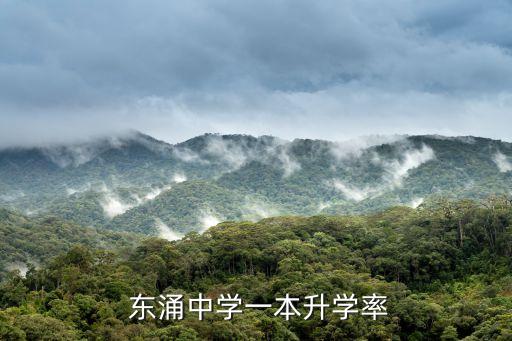 東涌中學,廣東東涌中學一本升學率達40%