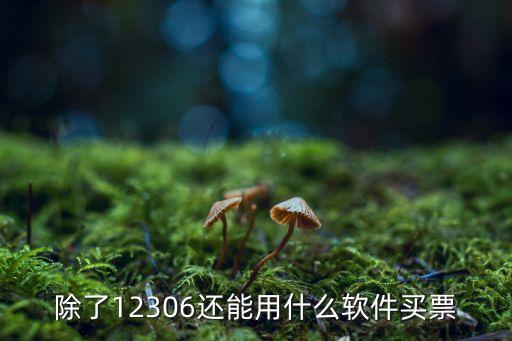 除了12306還能用什么軟件買票