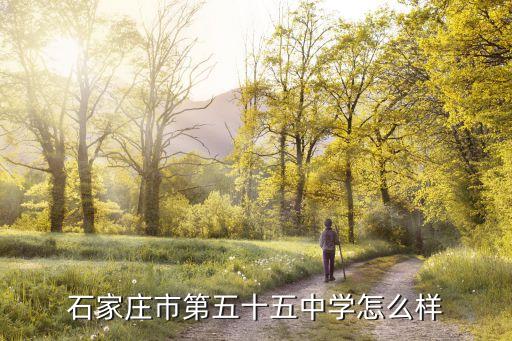 55中學,西安第55中學怎么樣?