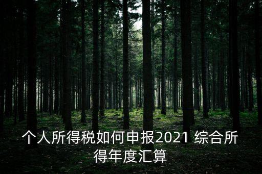 個人所得稅如何申報2021 綜合所得年度匯算