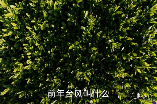 前年臺風叫什么